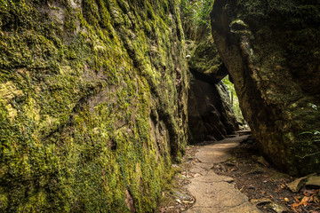 Hiking Path Through Giant Moss-Covered Rocks - 1