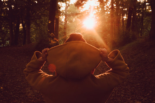 Rear view of person in hooded shirt facing setting sun in forest