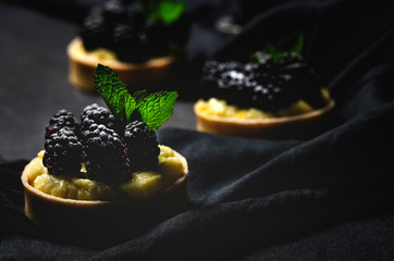 Homemade small cake with blackberry and delicious cream of vanilla and mint on dark background