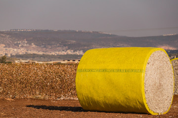 Cotton bales in bright yellow protective wrap. Round cotton bales in field after being harvested on farm.