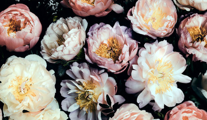 Vintage bouquet of beautiful peonies on black. Floral background. Baroque old fashiones style. Natural flowers pattern wallpaper or greeting card © Rymden