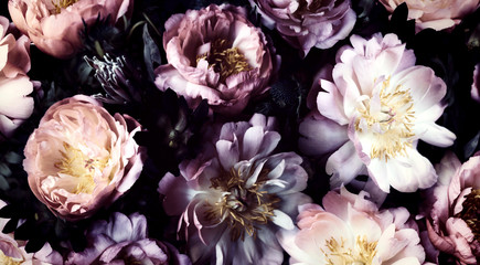 Vintage bouquet of beautiful peonies on black. Floral background. Baroque old fashiones style. Natural flowers pattern wallpaper or greeting card