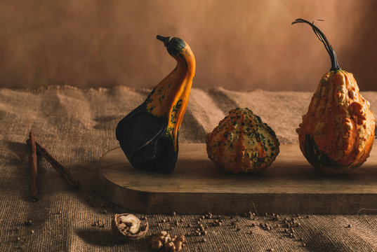 Still life of small dried pumpkins on wooden surface with spice of pepper and cinnamon on tough tissue in warm light 