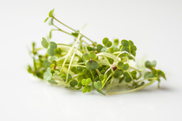 broccoli sprouts heap isolated on white background. nutrition. bio. natural food ingredient.