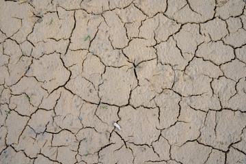 Cracked dried up soil in the summer period without rain
