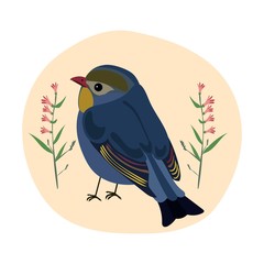 Bird on white background vetor