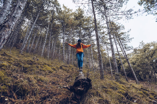 From below confident woman in warm clothes and hat with stretched arms walking along log in autumn evergreen forest