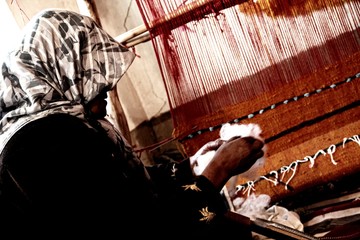 Naklejka premium Todra Gorge, Morocco »; Spring 2017: An old woman knitting wool in the Todra Gorge