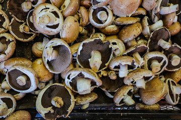 Background of Fresh Mushrooms.