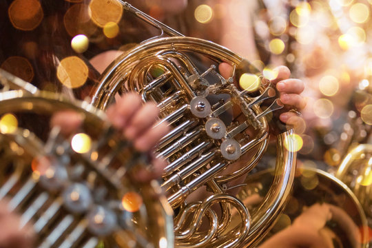 french horn during a classical concert music