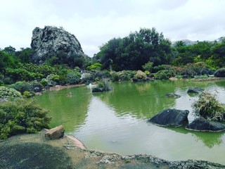 jard&iacute;n Canario