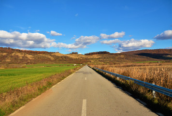 a road on a field in late autumn