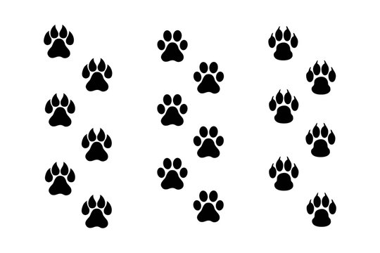 Paws print vector on white background, flat