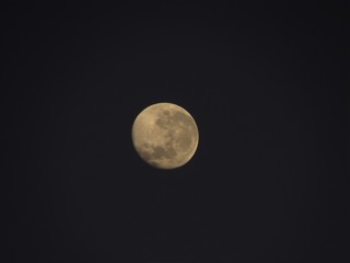 The Moon