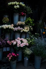 Fresh flowers for sale