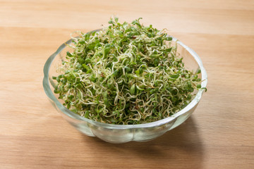 lucerne alfalfa  in glass bowl on wooden background. nutrition. food ingredient.