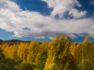 Obraz premium Fotos en otoño