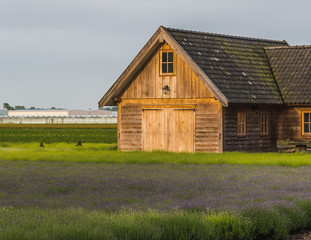 Old rustic and charming wooden house