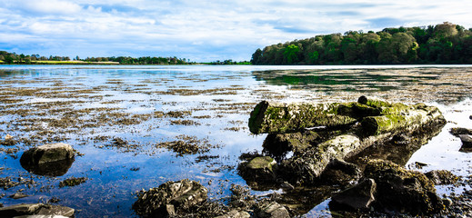 landscape with river