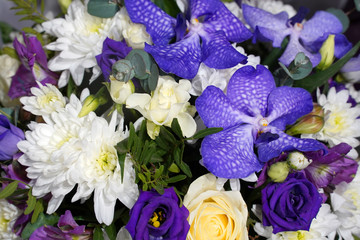 bouquet of flowers. floral background