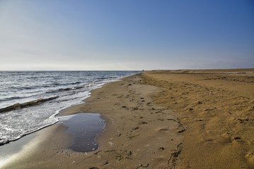 Delta del Ebro- Punta del Fangar