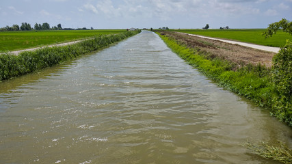 Lo Delta de l'Ebre Poble Nou canal