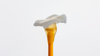 beautiful ceramic tab on a sticky stick on a white background