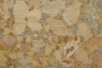 Fragment of hand-dyed fabric using eco-print technique
