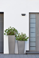 Large gray pots with green bushes with a gray door. Plants at the entrance to a modern house