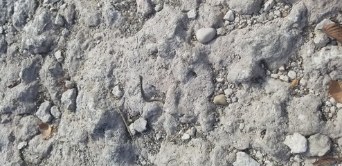 texture of stone