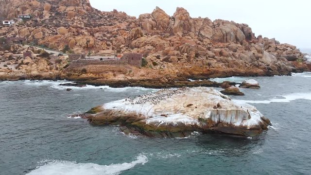 Island Pacific Ocean, Birds, Seals, Fort Lambert, Cliffs (Coquimbo, Chile)