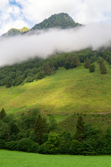 Alpine valley and pasture with green grass and mountains in the fog, Austrian