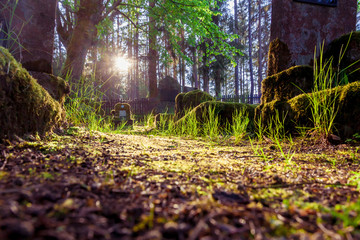 Vergessener Friedhof mitten im Wald