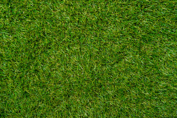 Green wall and green background of artificial grass designed for outdoor sports.