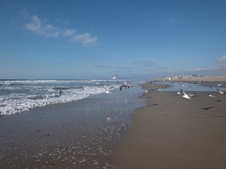 Beach