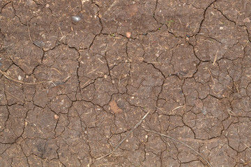 Weathered Dry Cracked Brownish Soil