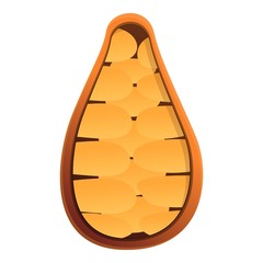 Half cocoa icon. Cartoon of half cocoa vector icon for web design isolated on white background