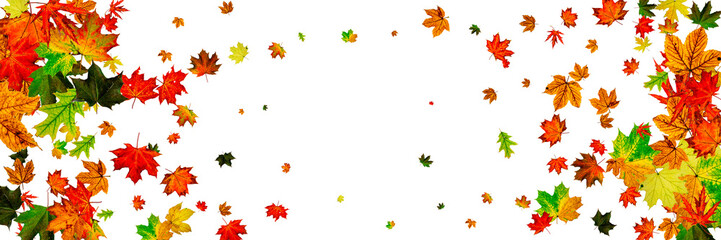Fototapeta na wymiar Autumn landscape. Season pattern isolated on white background. Thanksgiving concept