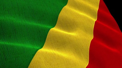 the flag of the Republic of the Congo in the wind close-up