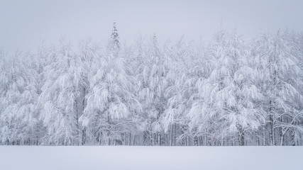 A beautiful scene of winter in the Carpathian Mountains