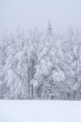 A beautiful scene of winter in the Carpathian Mountains