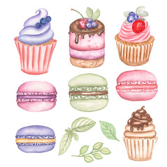 Watercolor hand drawn bakery set. Macaron,chocolate cupcake,mini cake with berries, strawberry and blueberry cupcakes illustrations and mint leaves and branch.