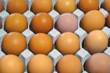 Cartons of fresh free-range brown organic eggs