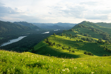 Fototapeta premium Russian green hills and meadows in Altai. Aya Lake for tourists. The sun and sunset of the day. Summer and grass. Nature travel