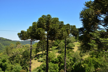 View of Caracol waterfall ( 