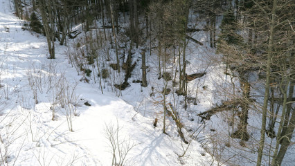 wonderful snowy mountain landscape in early spring