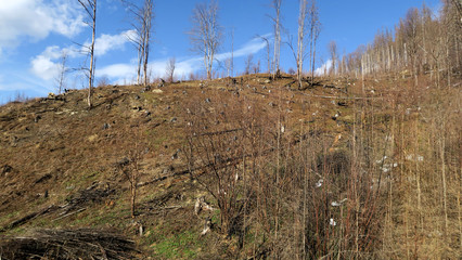 wonderful snowy mountain landscape in early spring