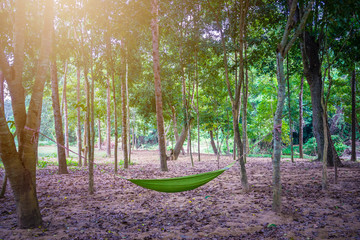 Hammock between two trees in the forest while camping - Powered by Adobe