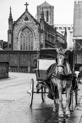 Naklejka na ściany i meble Horse drawn carriage tours of Dublin city, Ireland