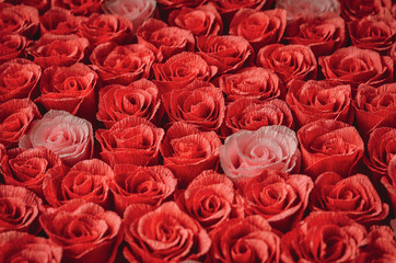 Floral background of many red and pink decorative roses background